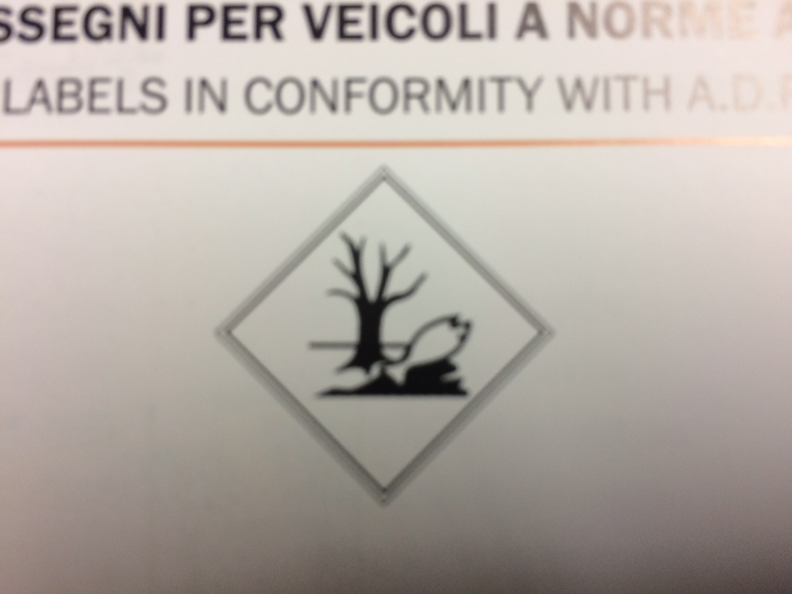 Product Image for Adr etikett "dangerous for the enviorment",300x300mm "6"
