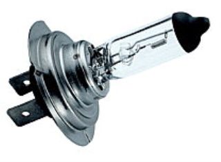 Product Image for H7 12V 100W Px26D