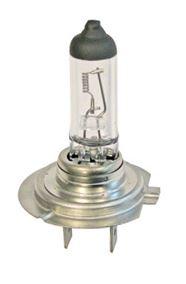 Product Image for H7 Halogenlampa 24V 70W